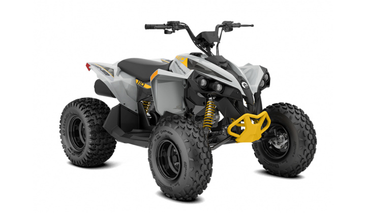 CAN-AM RENEGADE 110 2024