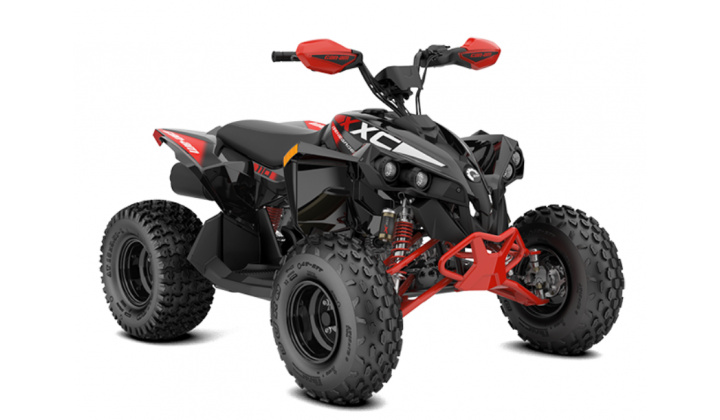 CAN-AM RENEGADE 110 X XC 2024