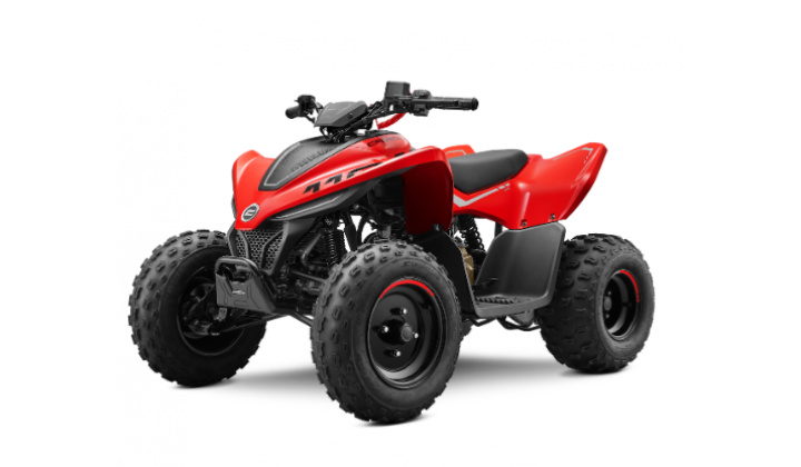 CFMOTO Gladiator X110 LE