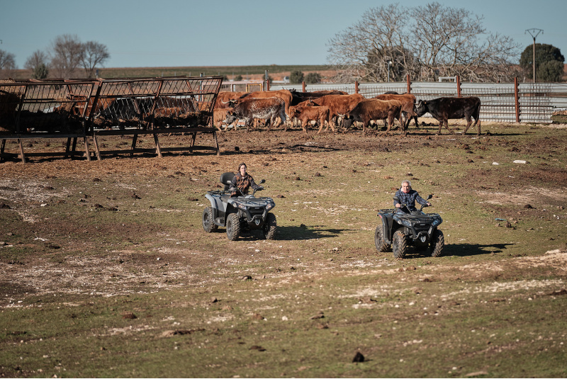 CF MOTO - JM GLADIATOR / GOES TEERROX 500 - foto CF MOTO - JM GLADIATOR / GOES TEERROX 500 - foto