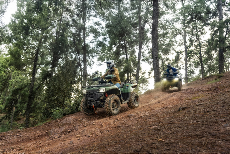 goes / GOES TERROX 550 - foto