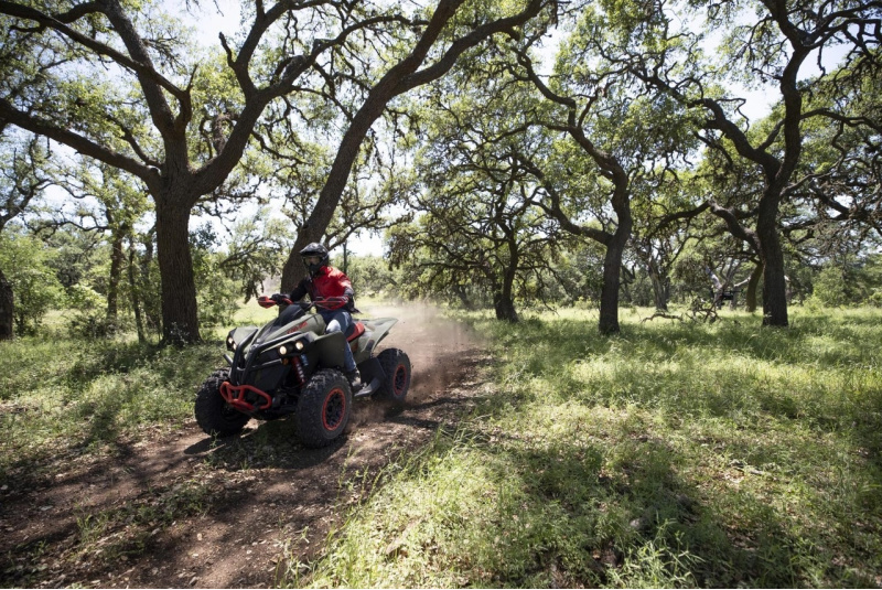 CAN-AM / CAN-AM  RENEGADE - foto