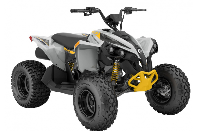 CAN-AM / CAN-AM  RENEGADE - foto